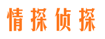 温泉市侦探调查公司